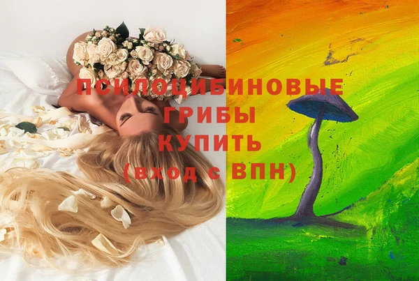 mdpv Аркадак